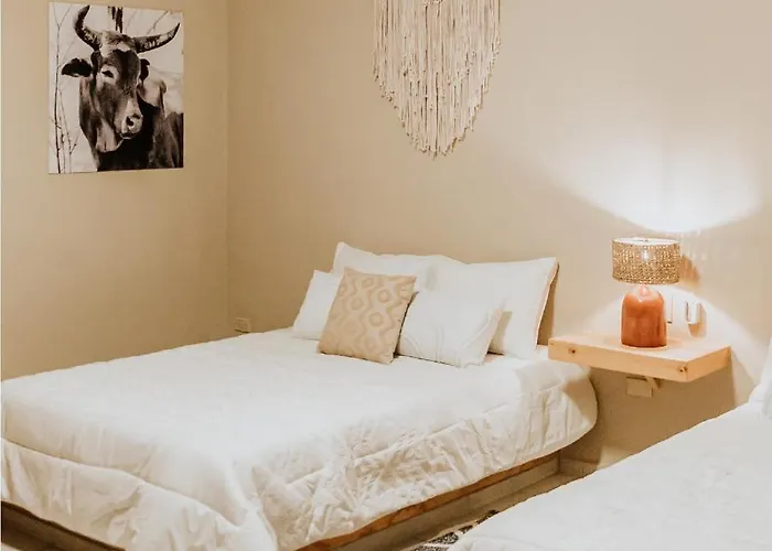 Hotel Baja *